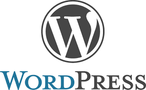 WordPress: resumen de vulnerabilidades hasta el 28 de julio